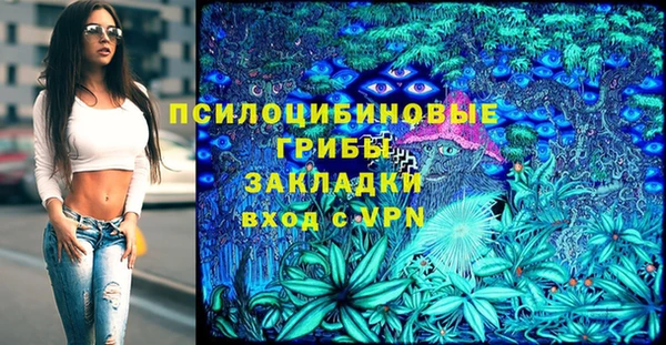 дживик Краснотурьинск