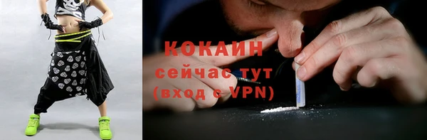 spice Кукмор