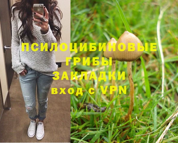 трава Кулебаки